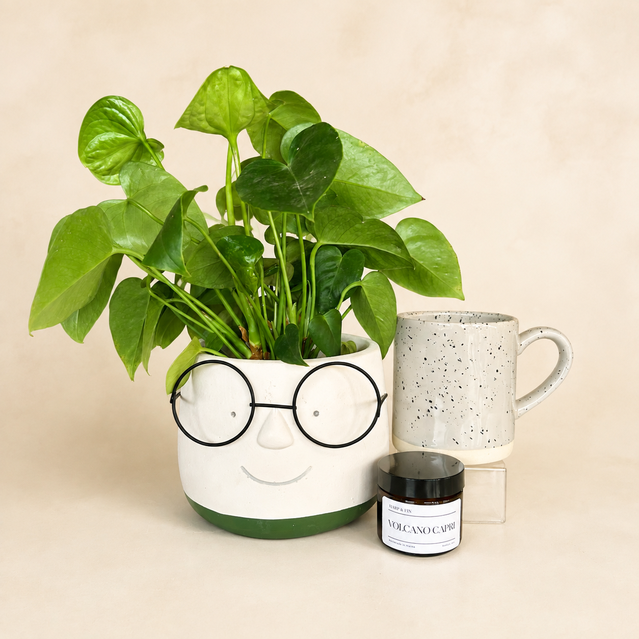 The New Space Giftset