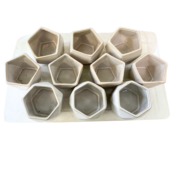 White Geometric Succulent Pots