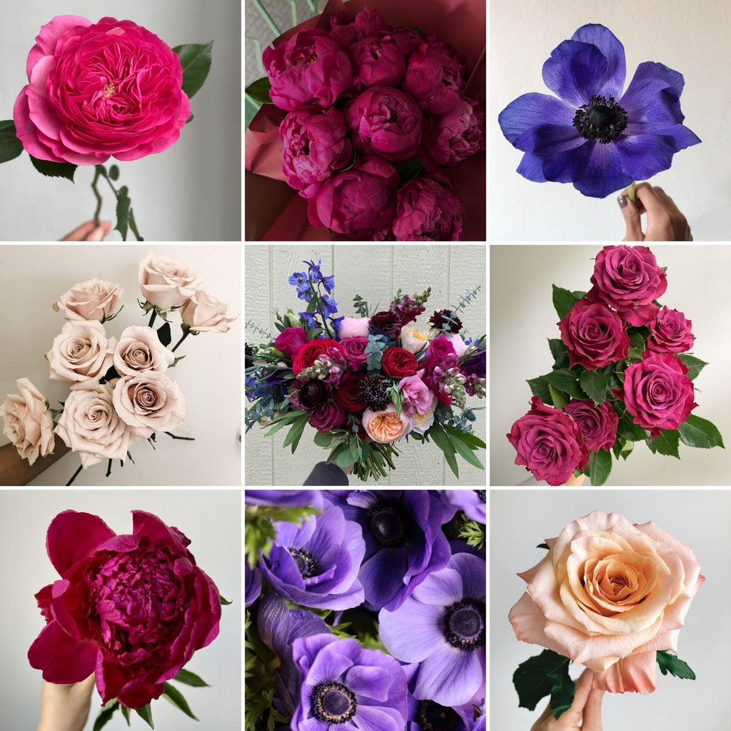 Ainsley's Sweet Birthday Bundle