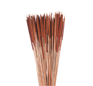 Dried Natural Cattails