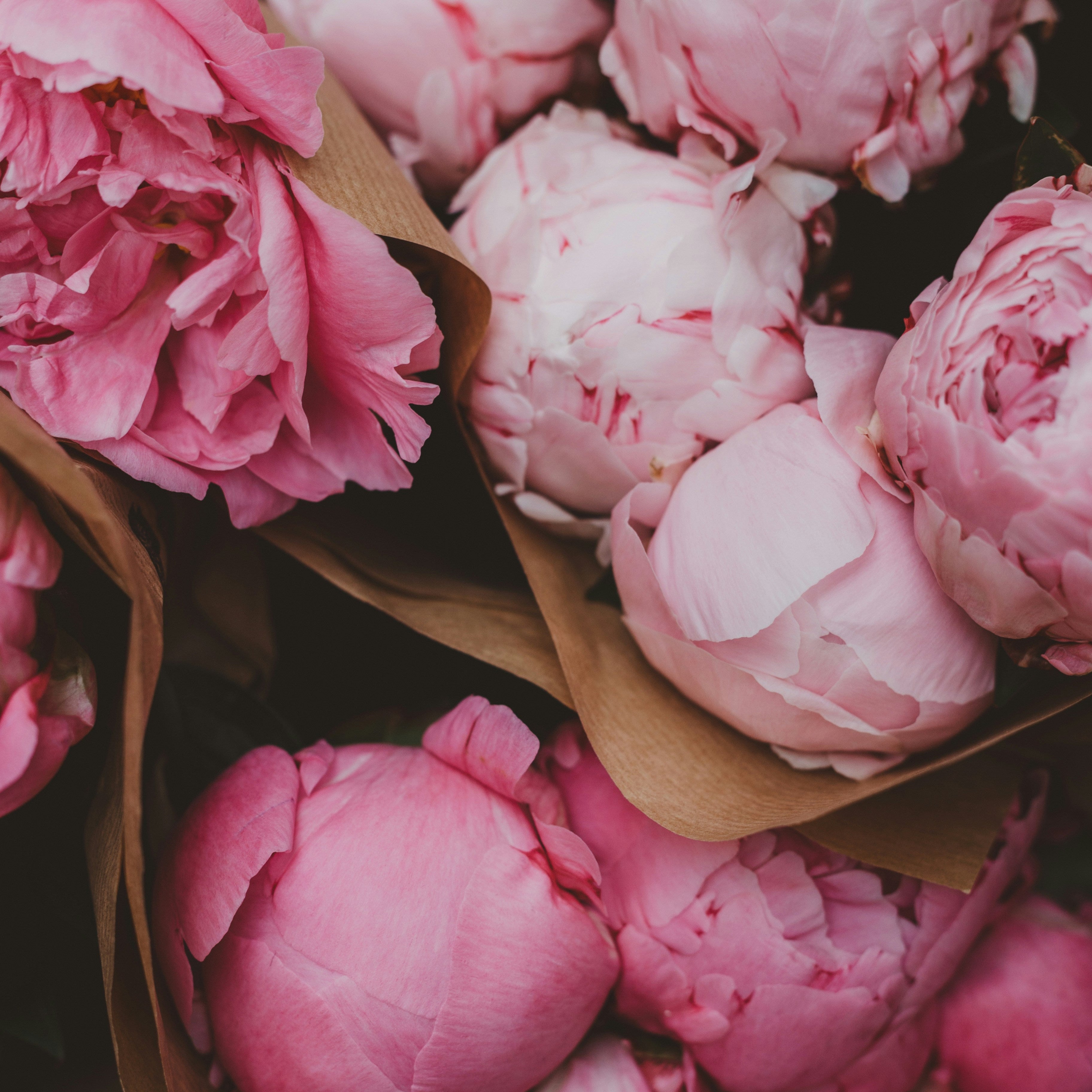 Peony Bunches