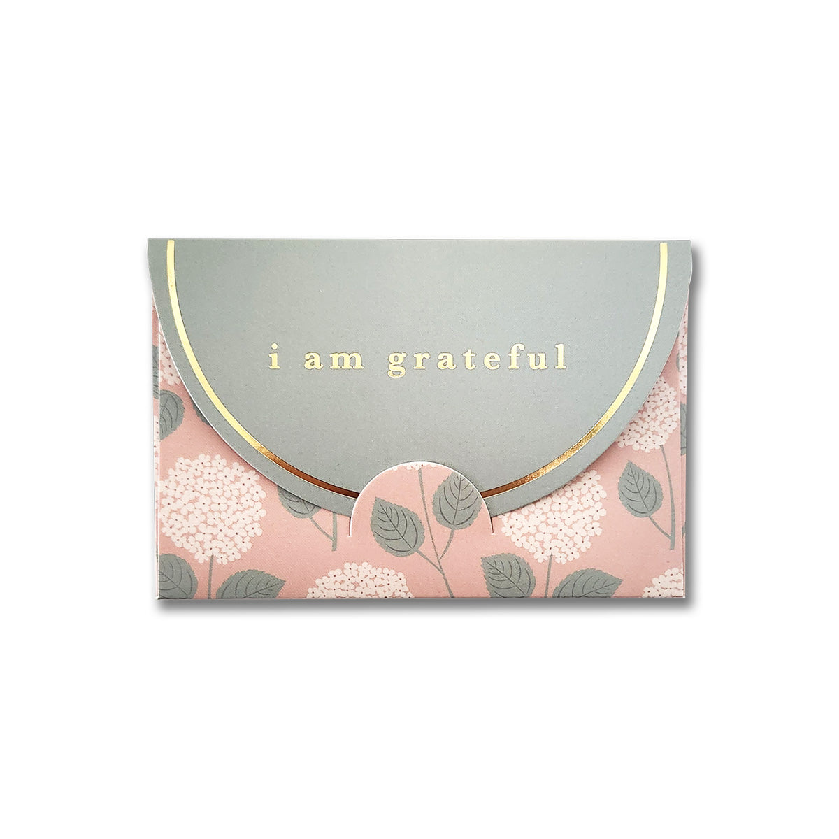 Gift Card Envelopes - 6 pk