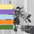 JUNE Loose Hand-Tied Bouquet