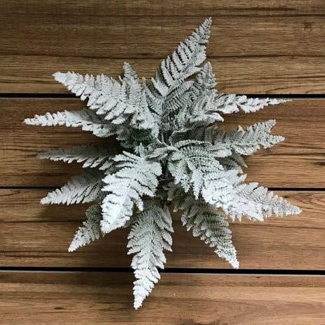 16" Snowy Fern Bush Stem