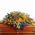Colourful Reflections Casket Spray: T282-5A