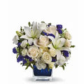Sapphire Skies Arrangement: TEV25-3B