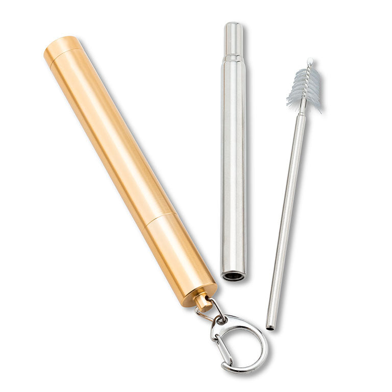 Collapsible Straw & Brush