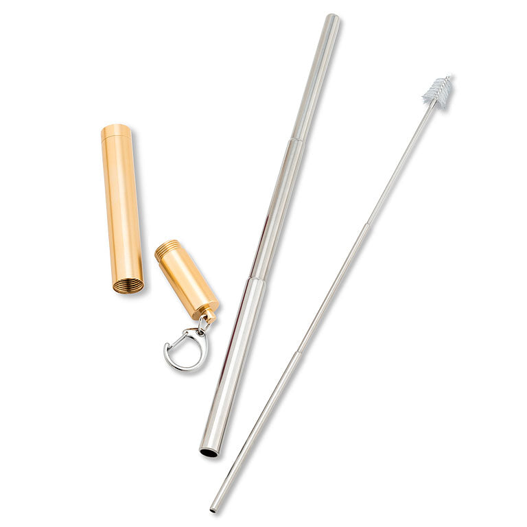 Collapsible Straw & Brush