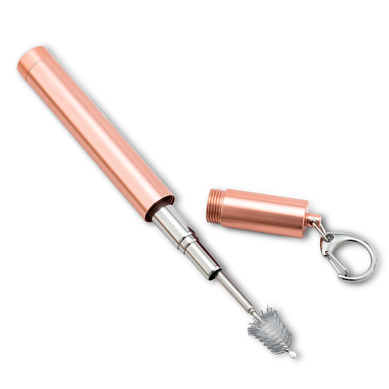 Collapsible Straw & Brush