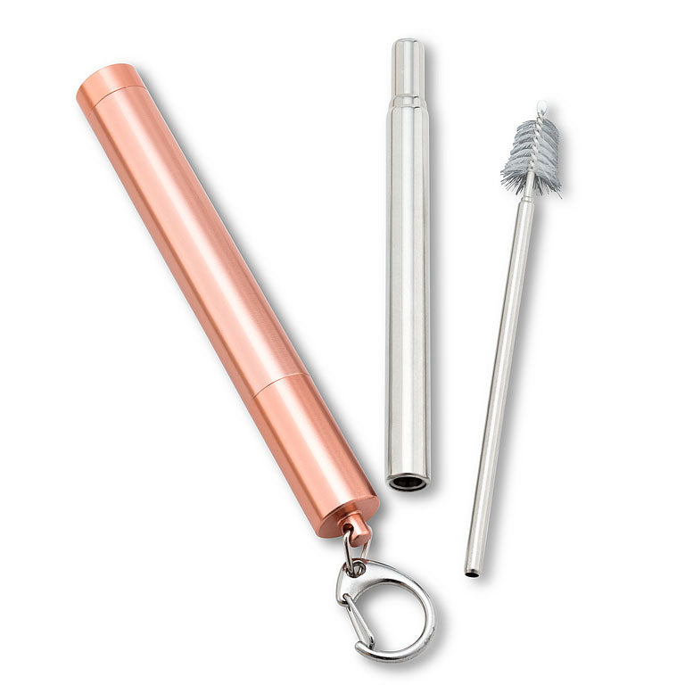 Collapsible Straw & Brush