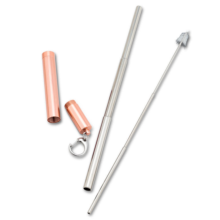 Collapsible Straw & Brush