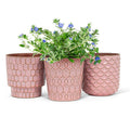Rosa Pink Textured Pot