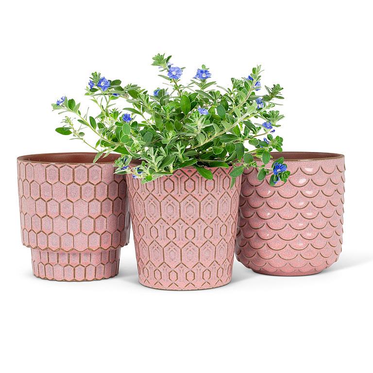 Rosa Pink Textured Pot
