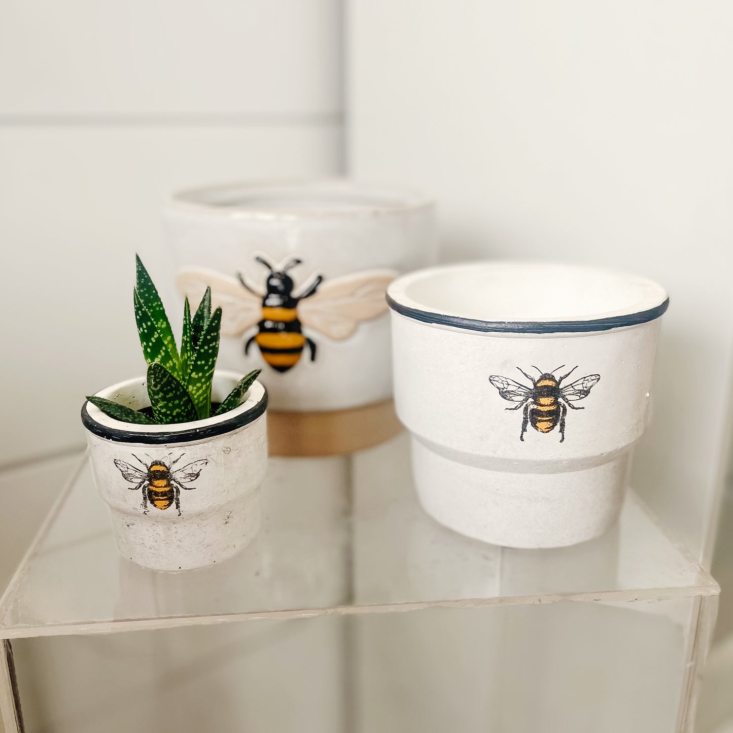 The Bee Collection Plant Pots