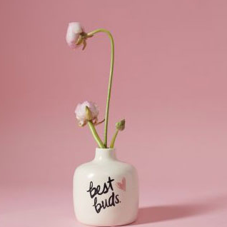 Sweet Phrase Vase Collection